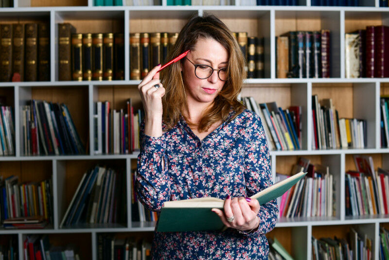 professorship in the netherlands