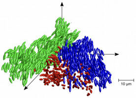 Noch vloeibaar, noch vast