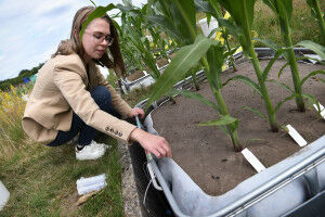 Mineralen inzetten tegen klimaatverandering
