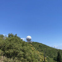 Nieuw model biedt kans om migrerende vogels te beschermen