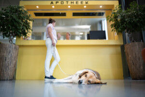 When standard medication is inadequate