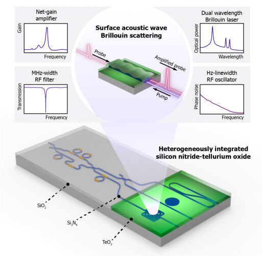 Physics - A schematic of the photonic chip Physics