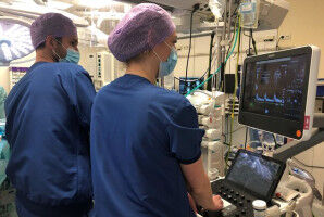 Bloedstroom in beeld met echo in de hals