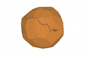 Daniel Dadush benoemd tot hoogleraar Geometry of Optimisation