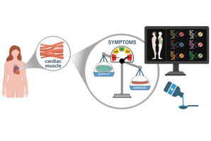 Dutch Heart Foundation supports TU/e research into heart failure and heart damag