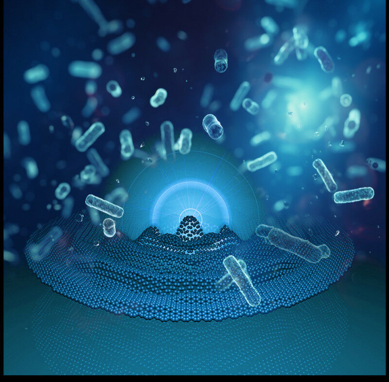 Image credit to: Santiago Mendoza Silva and Pierpaolo Belardinelli