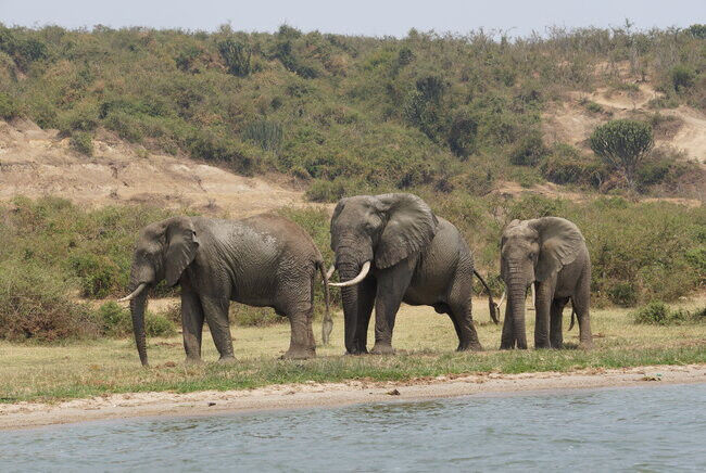 Mathematics - Environment