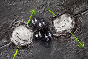 Nieuwe aanpak van Majorana-onderzoek met korte nanodraden